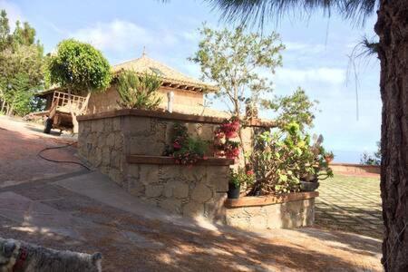 Villa Rural Faldas Del Teide Icod De Los Vinos Zewnętrze zdjęcie