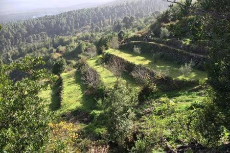 Villa Rural Faldas Del Teide Icod De Los Vinos Zewnętrze zdjęcie