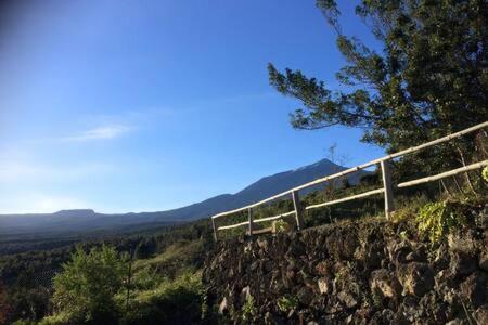 Villa Rural Faldas Del Teide Icod De Los Vinos Zewnętrze zdjęcie